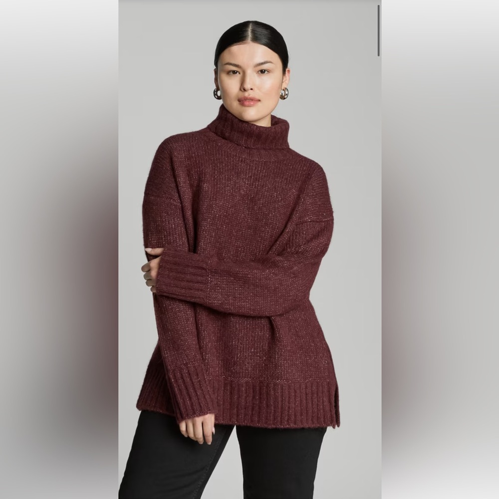 Everlane The Cloud Turtleneck